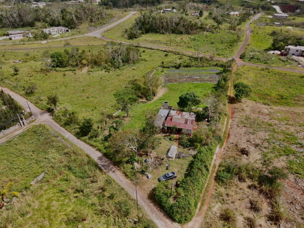 Fifteenth image of Daleys Grove Knock Patric in Mandeville, Manchester, Jamaica - property is For Sale