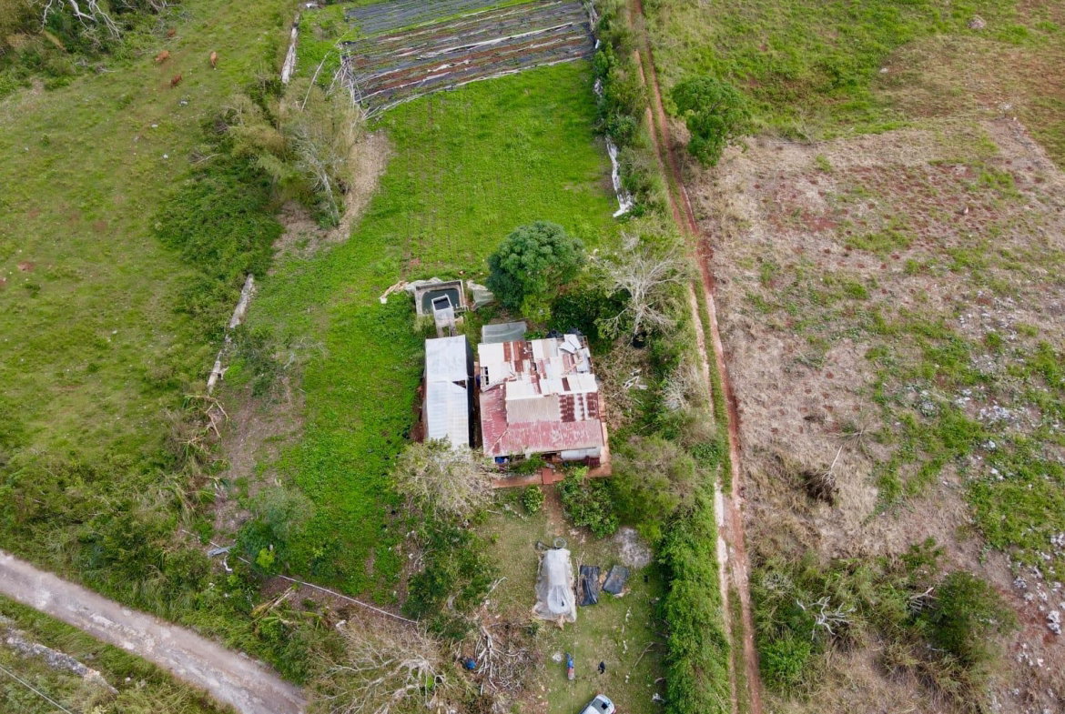 Sixteenth image of Daleys Grove Knock Patric in Mandeville, Manchester, Jamaica - property is For Sale
