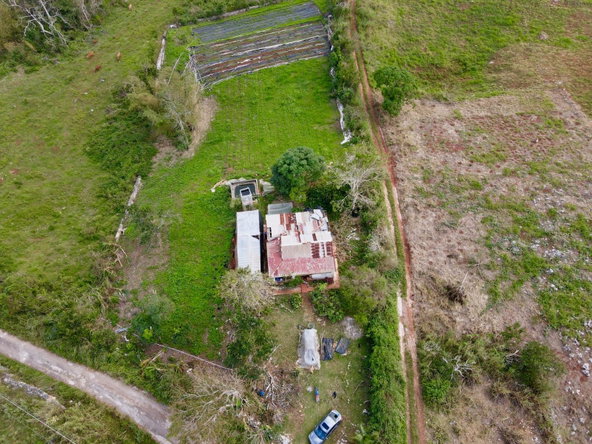 Sixteenth image of Daleys Grove Knock Patric in Mandeville, Manchester, Jamaica - property is For Sale