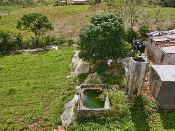Seventeenth image of Daleys Grove Knock Patric in Mandeville, Manchester, Jamaica - property is For Sale