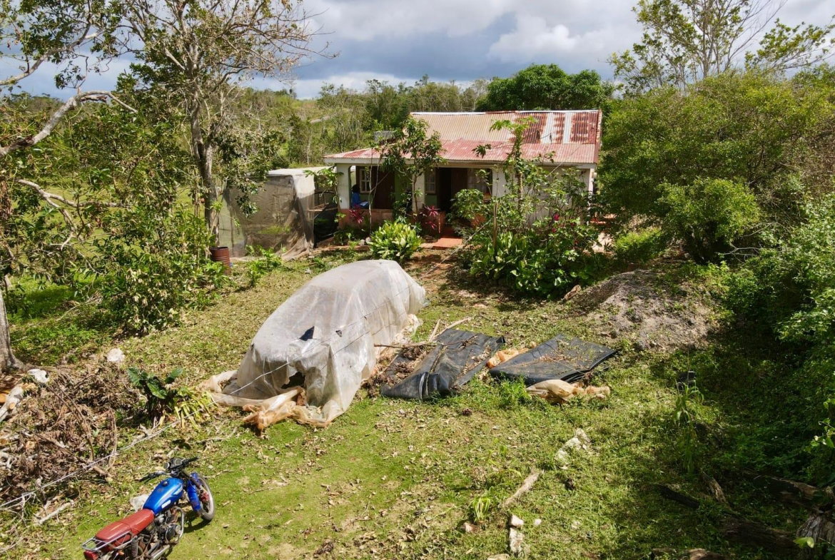 Third image of Daleys Grove Knock Patric in Mandeville, Manchester, Jamaica - property is For Sale