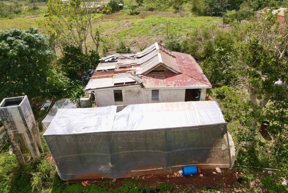 Fourth image of Daleys Grove Knock Patric in Mandeville, Manchester, Jamaica - property is For Sale