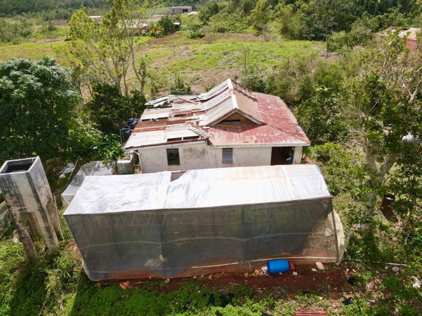 Fourth image of Daleys Grove Knock Patric in Mandeville, Manchester, Jamaica - property is For Sale