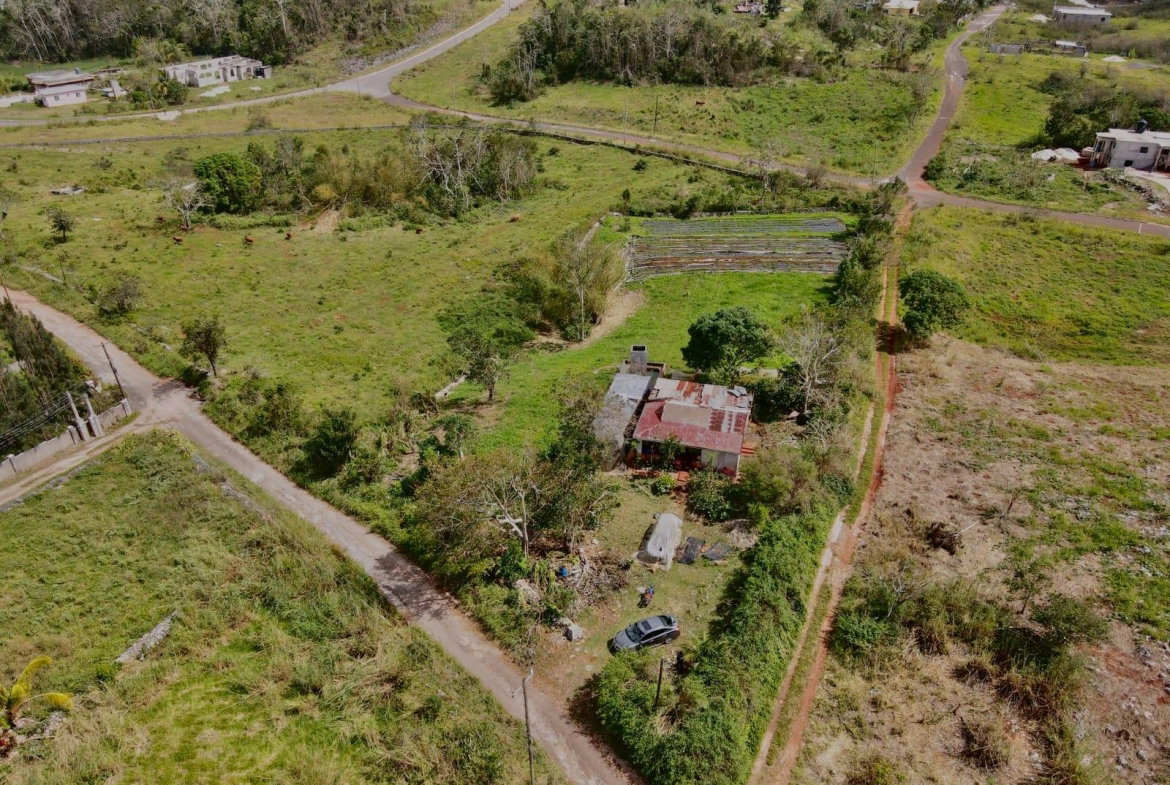 Fifth image of Daleys Grove Knock Patric in Mandeville, Manchester, Jamaica - property is For Sale