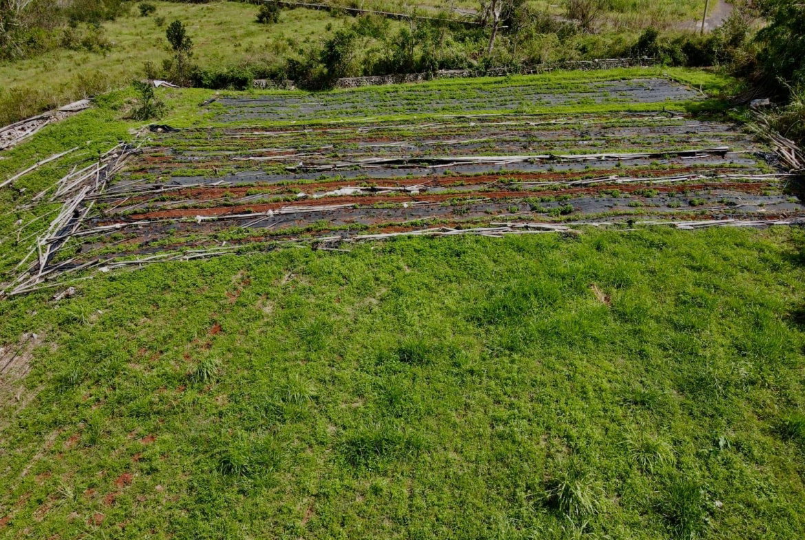 Sixth image of Daleys Grove Knock Patric in Mandeville, Manchester, Jamaica - property is For Sale