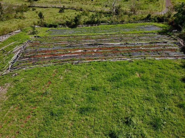 Sixth image of Daleys Grove Knock Patric in Mandeville, Manchester, Jamaica - property is For Sale