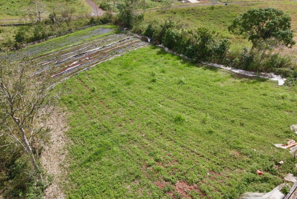 Eighth image of Daleys Grove Knock Patric in Mandeville, Manchester, Jamaica - property is For Sale