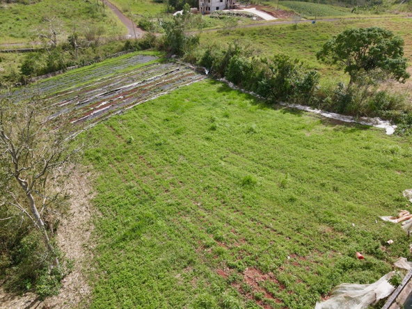 Eighth image of Daleys Grove Knock Patric in Mandeville, Manchester, Jamaica - property is For Sale