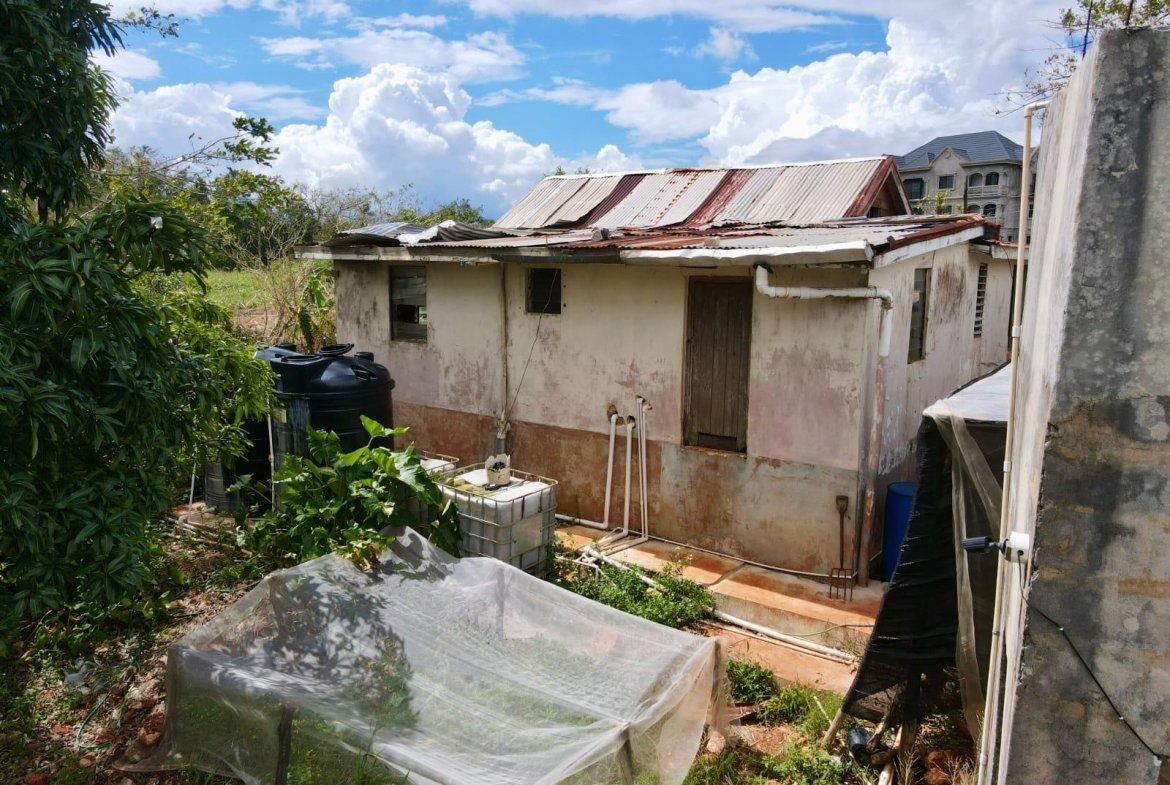 Ninth image of Daleys Grove Knock Patric in Mandeville, Manchester, Jamaica - property is For Sale