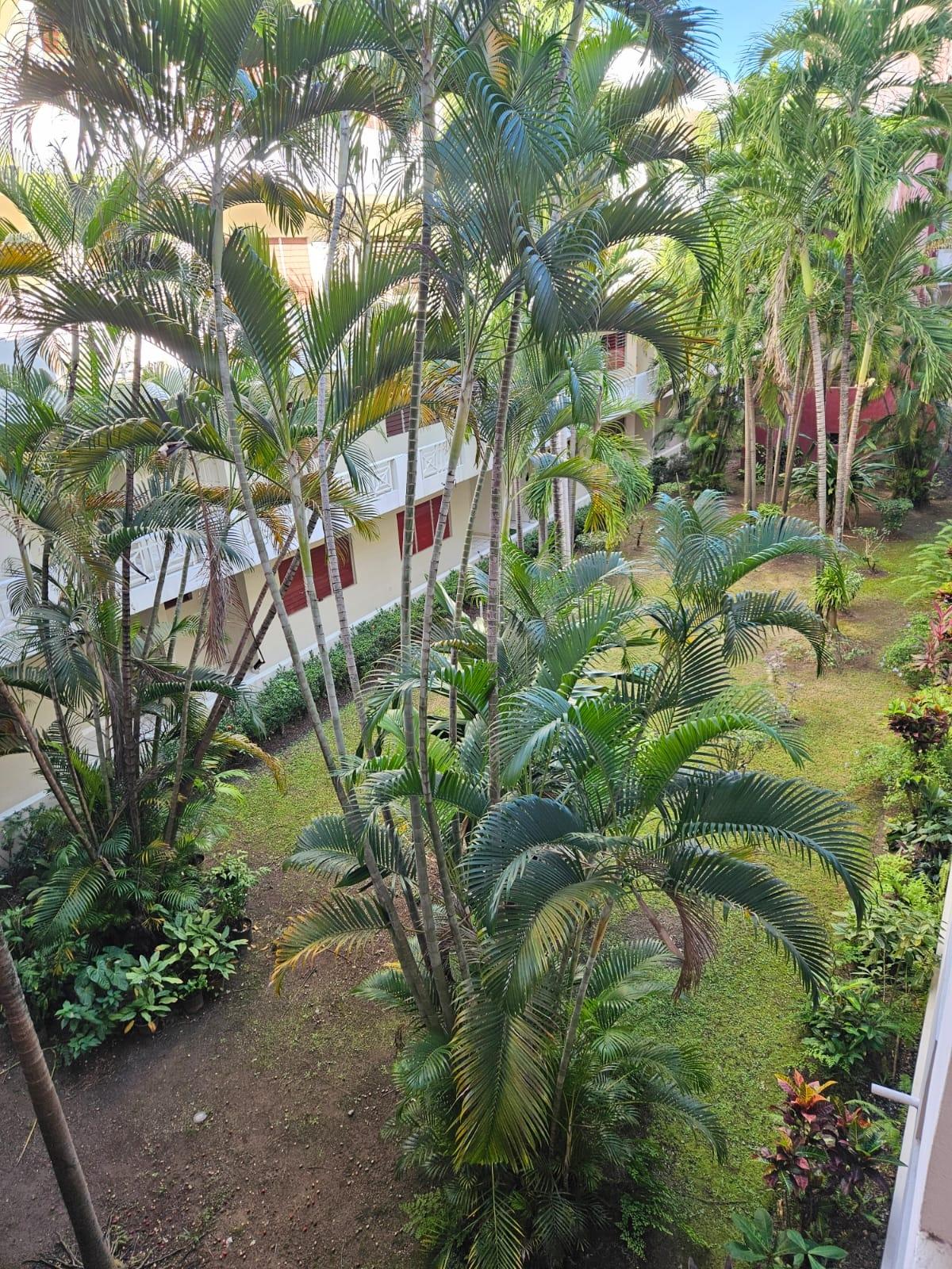 Eighth image of 40-2 Hilman in Kingston 8, St. Andrew, Jamaica - property is For Rent