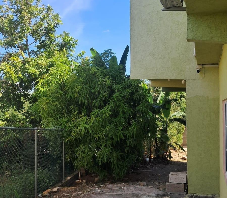 Sixteenth image of 1041 Circium Drive, Longville in Old Harbour, St. Catherine, Jamaica - property is For Rent