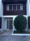 First image of 16-5 Kingsway in Kingston 5, St. Andrew, Jamaica - property is For Rent