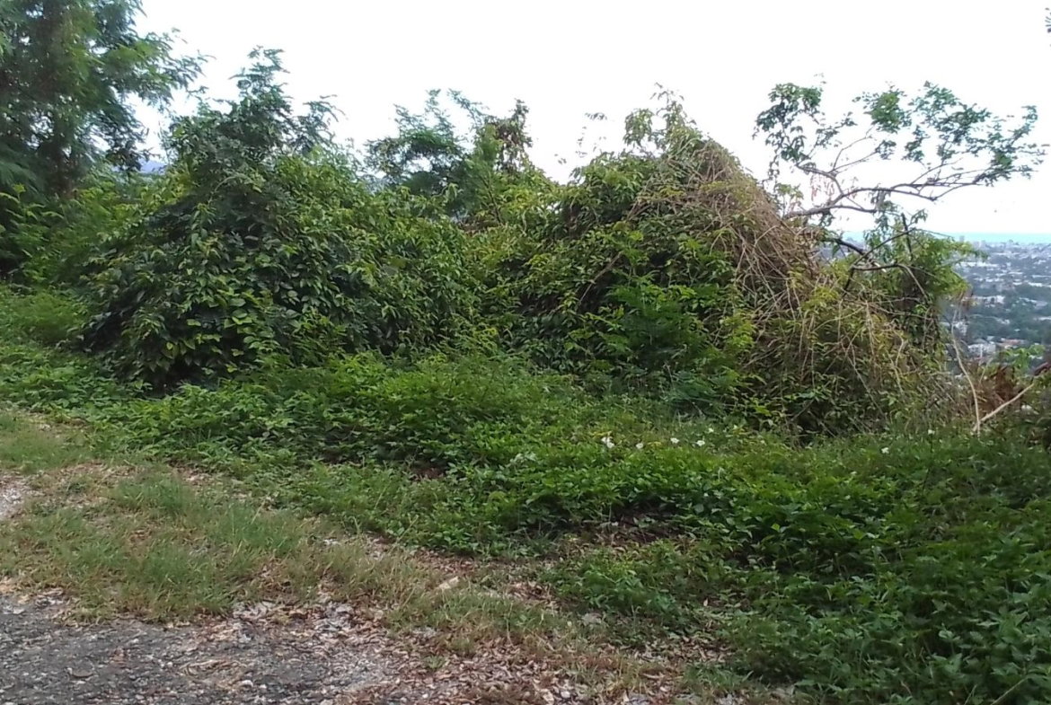 Third image of 72 Vanguard Ave in Kingston 19, St. Andrew, Jamaica - property is For Sale