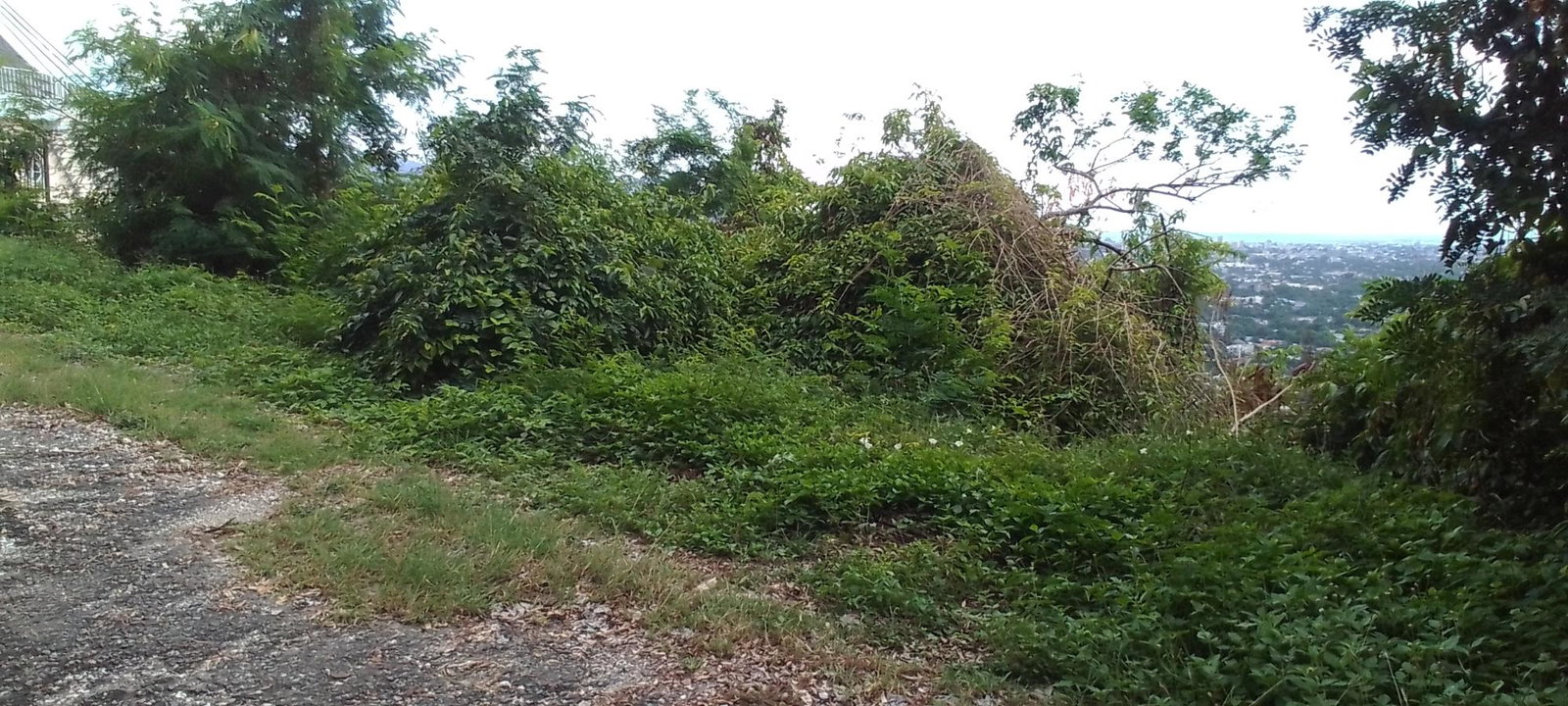 Third image of 72 Vanguard Ave in Kingston 19, St. Andrew, Jamaica - property is For Sale