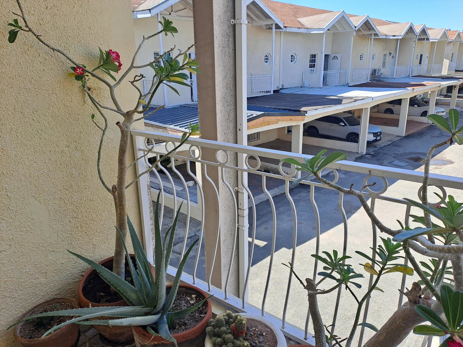 Second image of Maeven Avenue in Kingston 10, St. Andrew, Jamaica - property is For Sale