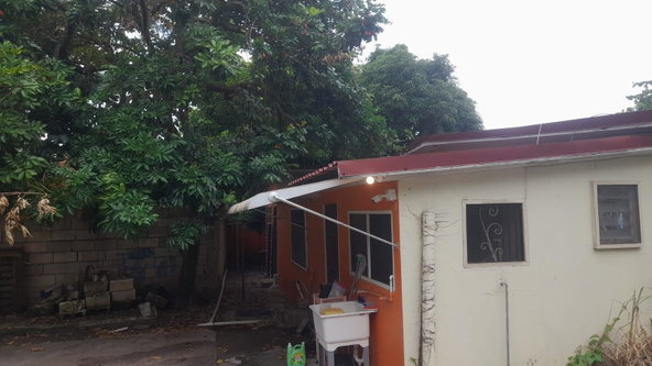 Eighteenth image of 14 Crane Avenue in Kingston 19, St. Andrew, Jamaica - property is For Rent