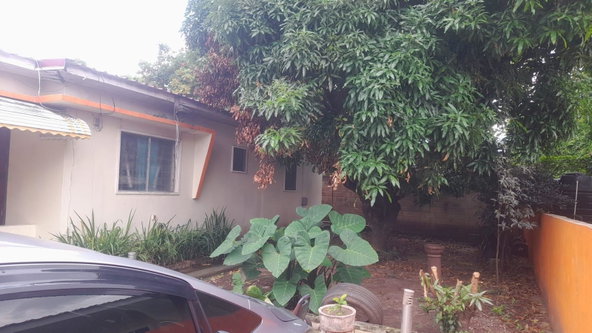 Twenty-First image of 14 Crane Avenue in Kingston 19, St. Andrew, Jamaica - property is For Rent