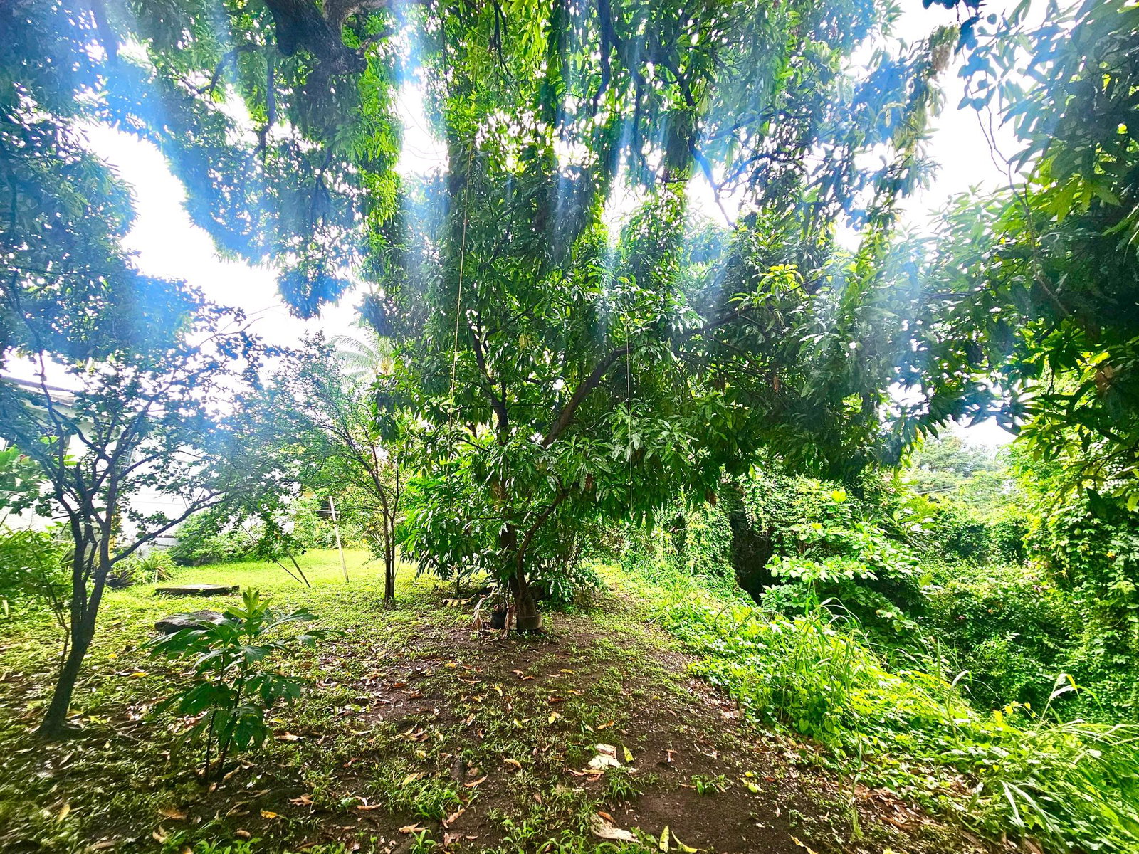Ninth image of 34 Charlemont Avenue in Kingston 6, St. Andrew, Jamaica - property is For Sale