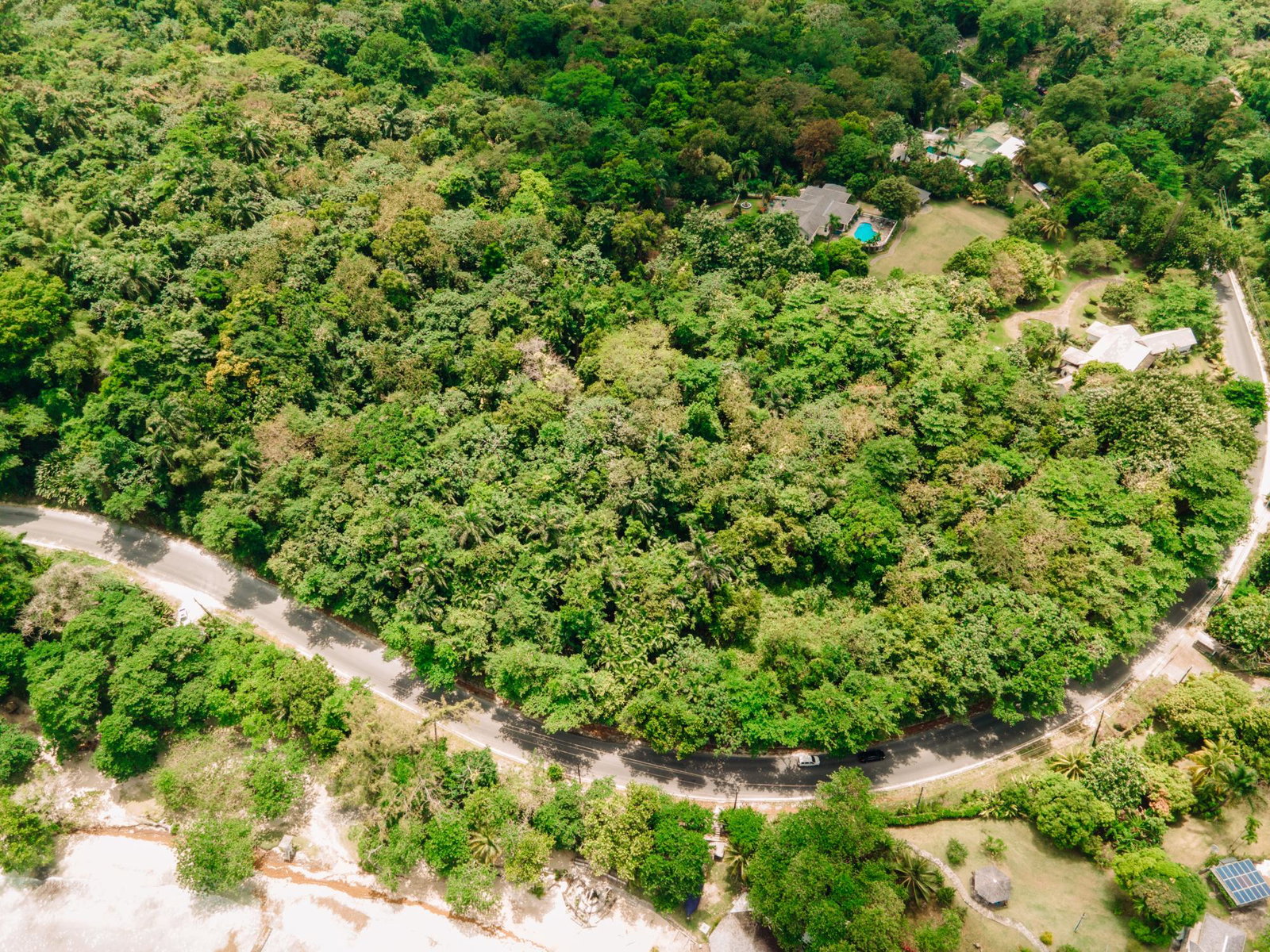 3.5-Acre-Residential-Lot-for-Sale-in-San-San-Estate-Portland-Jamaica Eighth image of 11 San San Estate in SAN SAN, Portland, Jamaica - property is For Sale