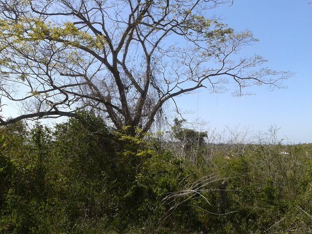 First image of Part of Happy Grove in Red Hills, St. Andrew, Jamaica - property is For Sale