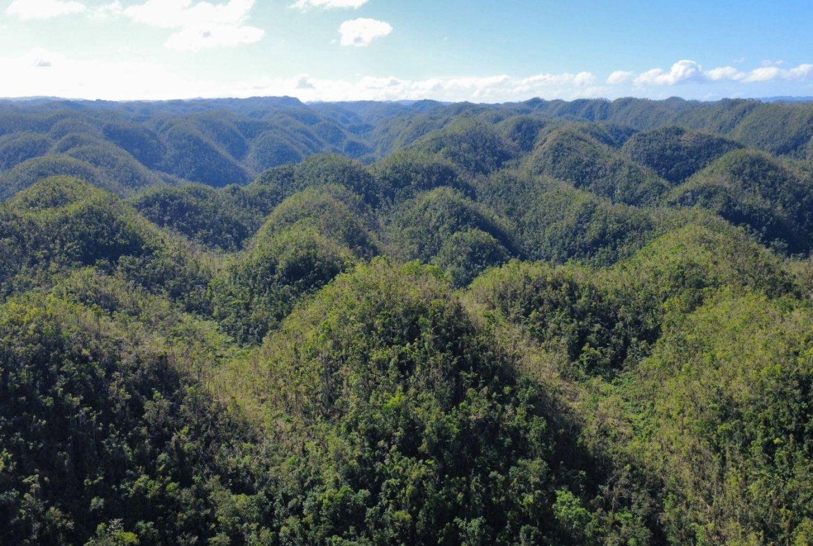 Second image of Oxford And Cambridge mt in Clarks Town, Trelawny, Jamaica - property is For Rent