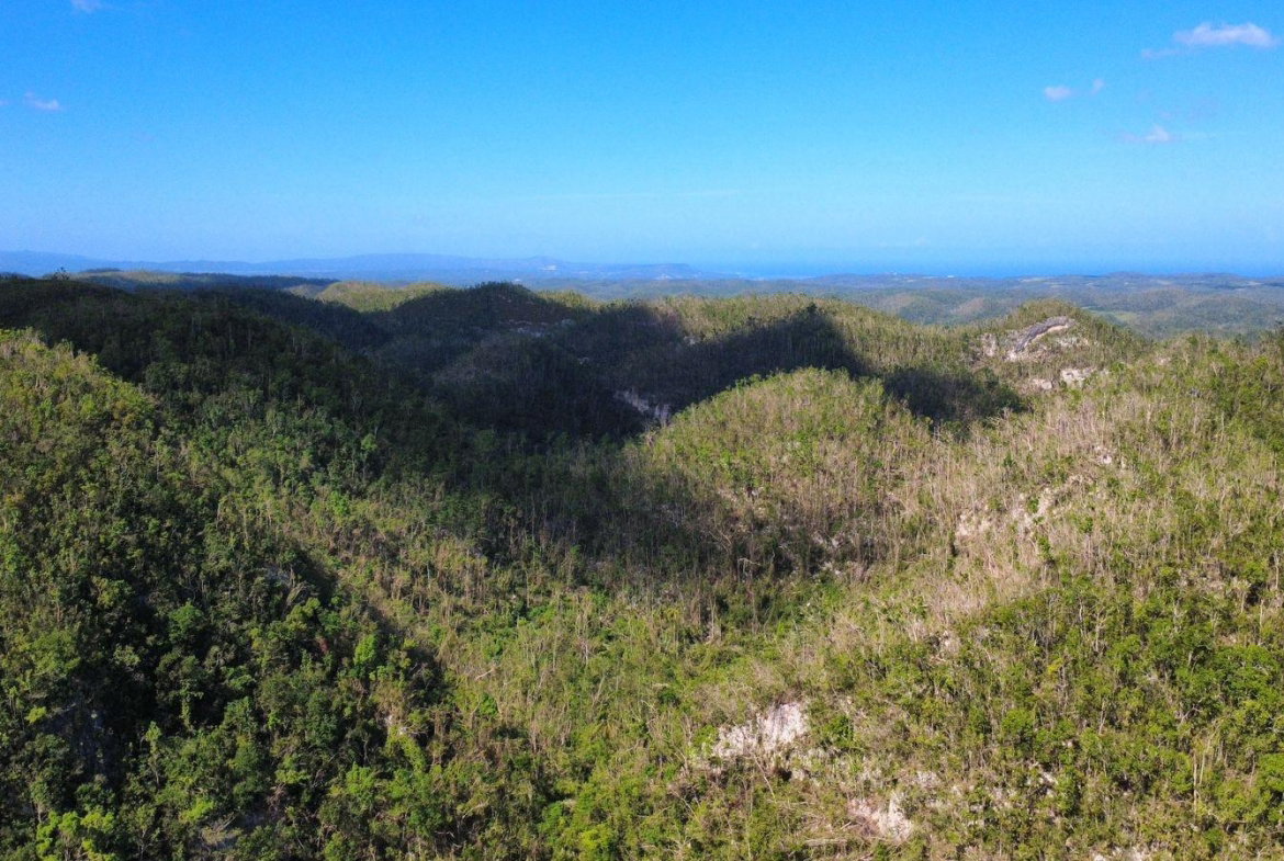 First image of Oxford And Cambridge mt in Clarks Town, Trelawny, Jamaica - property is For Rent