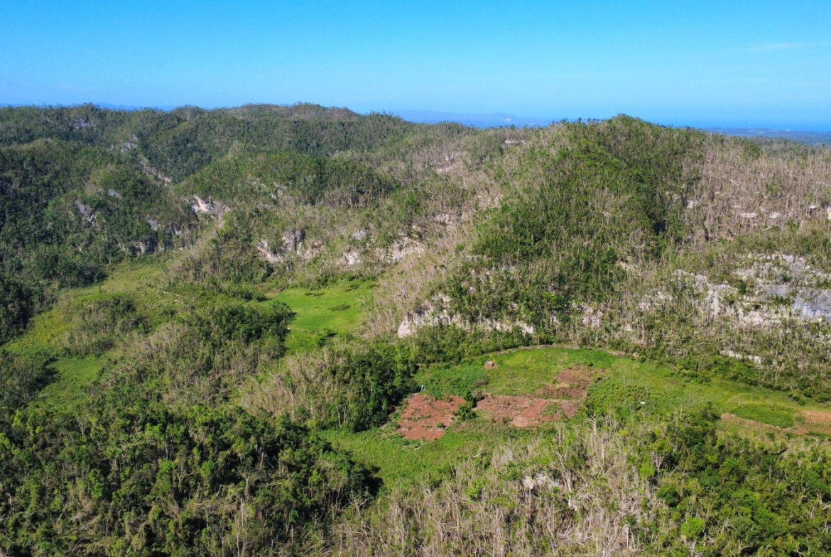 Third image of Oxford And Cambridge mt in Clarks Town, Trelawny, Jamaica - property is For Rent
