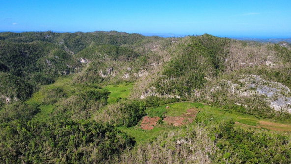 Third image of Oxford And Cambridge mt in Clarks Town, Trelawny, Jamaica - property is For Rent