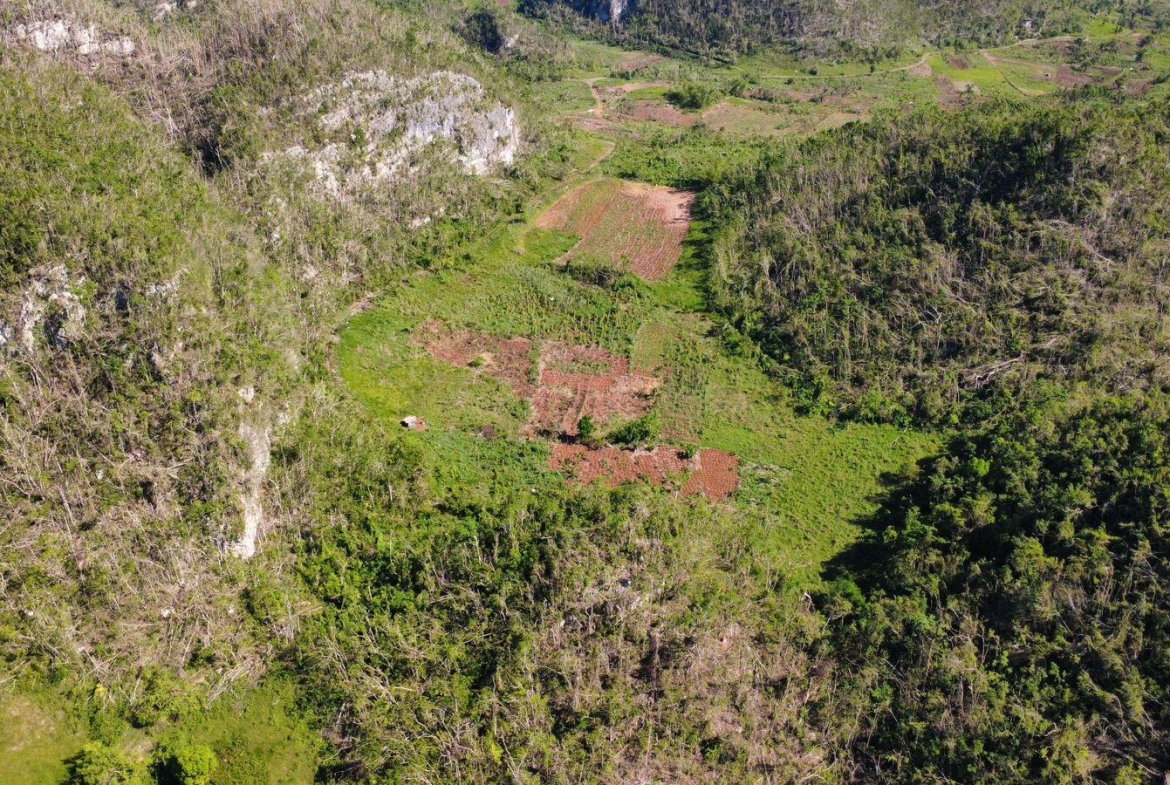 Fourth image of Oxford And Cambridge mt in Clarks Town, Trelawny, Jamaica - property is For Rent