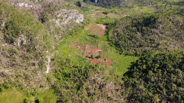 Fourth image of Oxford And Cambridge mt in Clarks Town, Trelawny, Jamaica - property is For Rent