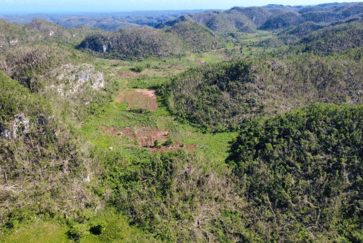 Fifth image of Oxford And Cambridge mt in Clarks Town, Trelawny, Jamaica - property is For Rent