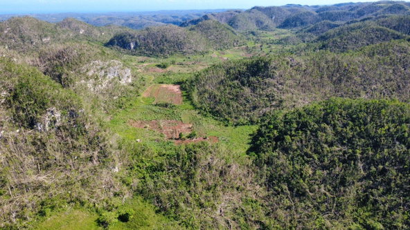 Fifth image of Oxford And Cambridge mt in Clarks Town, Trelawny, Jamaica - property is For Rent