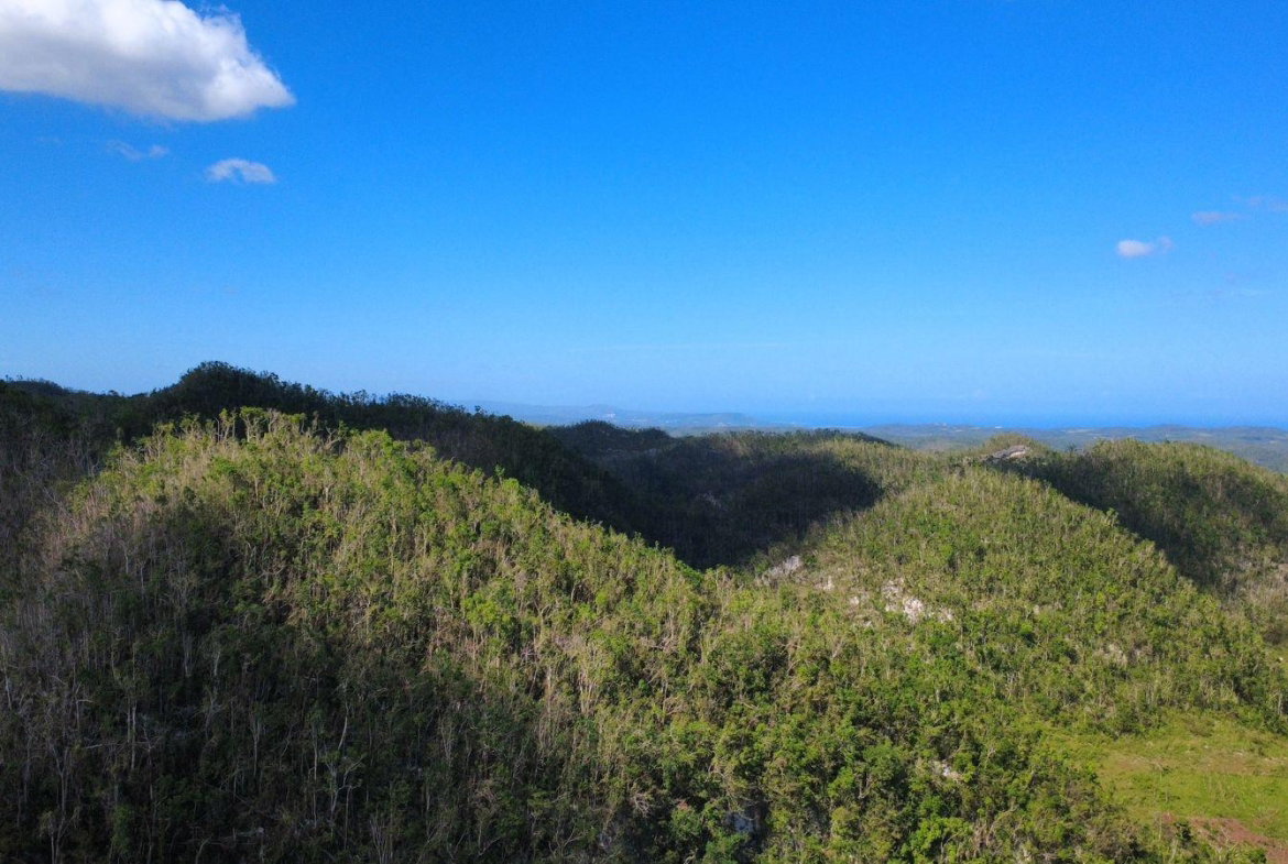 Sixth image of Oxford And Cambridge mt in Clarks Town, Trelawny, Jamaica - property is For Rent