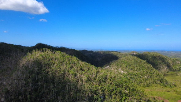 Sixth image of Oxford And Cambridge mt in Clarks Town, Trelawny, Jamaica - property is For Rent