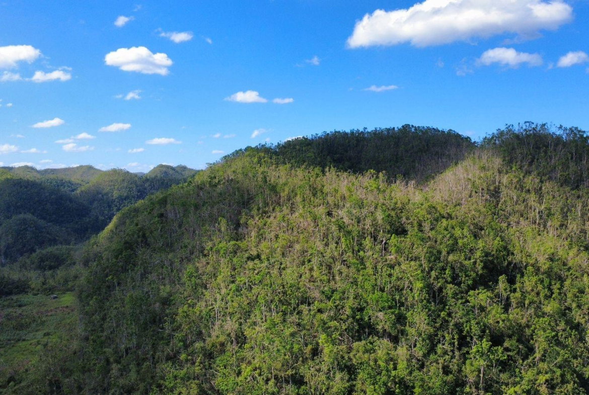 Seventh image of Oxford And Cambridge mt in Clarks Town, Trelawny, Jamaica - property is For Rent