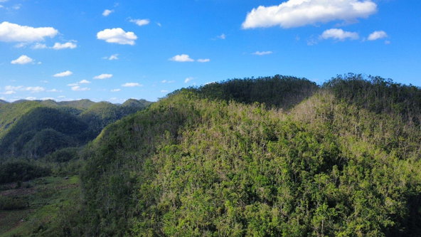 Seventh image of Oxford And Cambridge mt in Clarks Town, Trelawny, Jamaica - property is For Rent