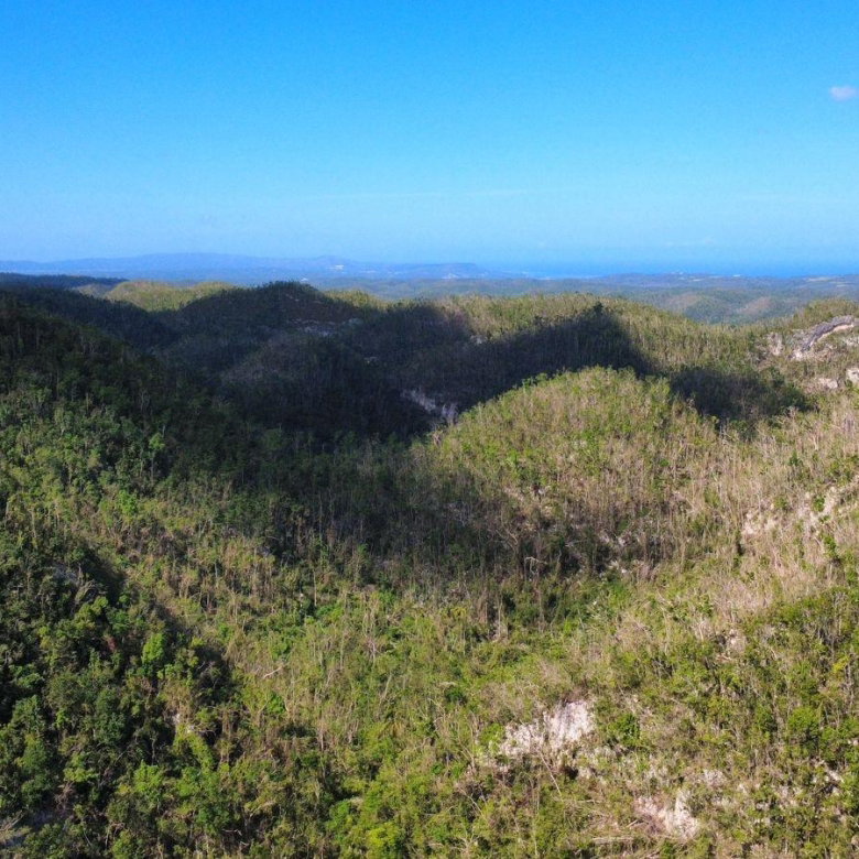 First image of Oxford And Cambridge mt in Clarks Town, Trelawny, Jamaica - property is For Rent