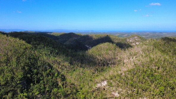 First image of Oxford And Cambridge mt in Clarks Town, Trelawny, Jamaica - property is For Rent