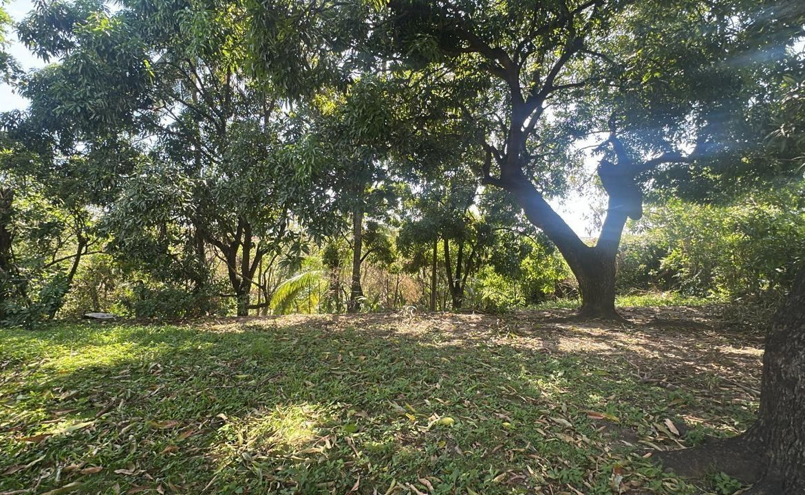 First image of Lot 32 Part of Hope Pastures in Kingston 6, St. Andrew, Jamaica - property is For Sale