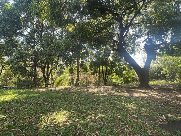 First image of Lot 32 Part of Hope Pastures in Kingston 6, St. Andrew, Jamaica - property is For Sale