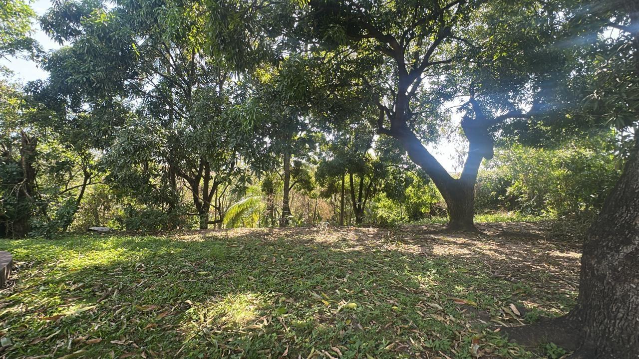 First image of Lot 32 Part of Hope Pastures in Kingston 6, St. Andrew, Jamaica - property is For Sale