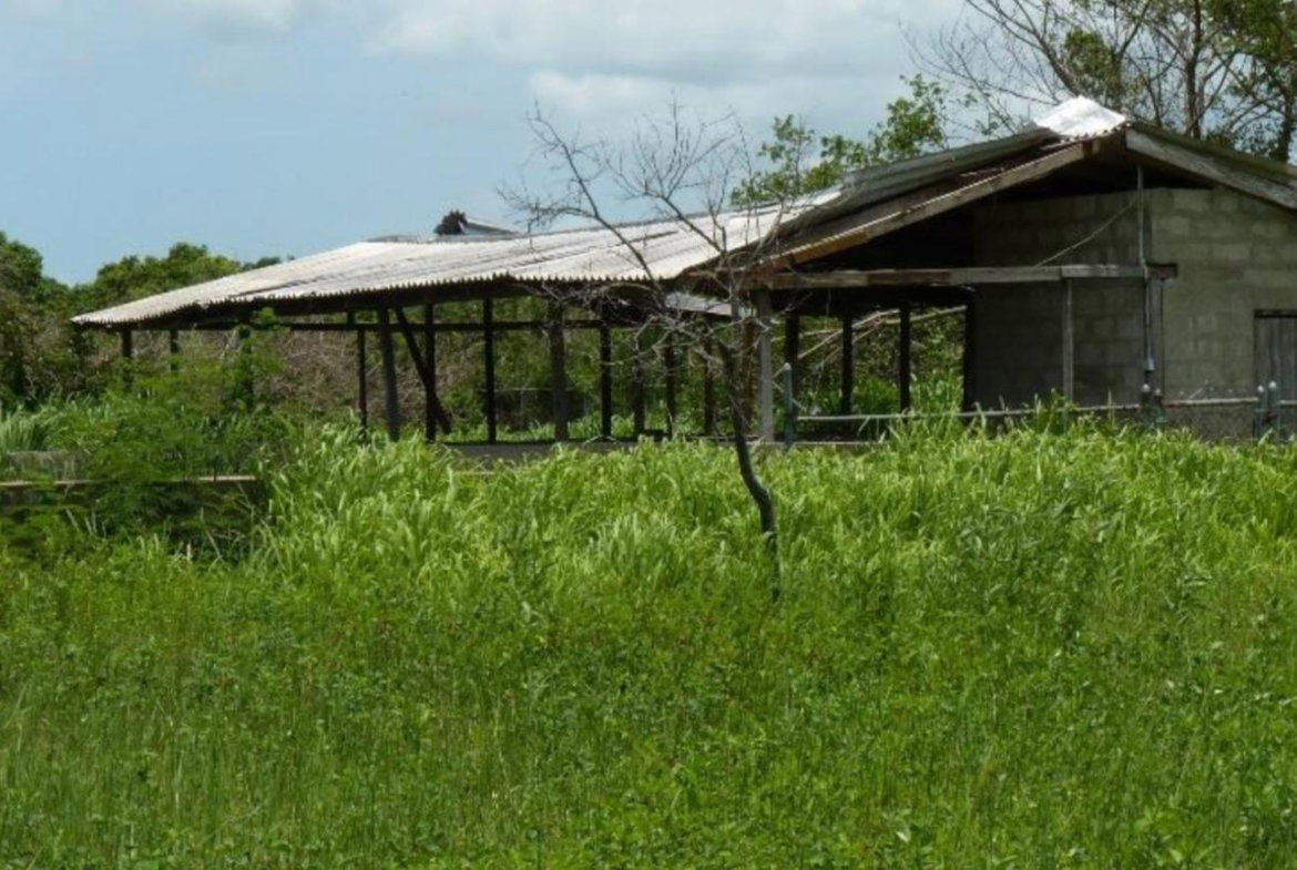 Fourth image of 45 Spring Garden Road in Old Harbour, St. Catherine, Jamaica - property is For Sale