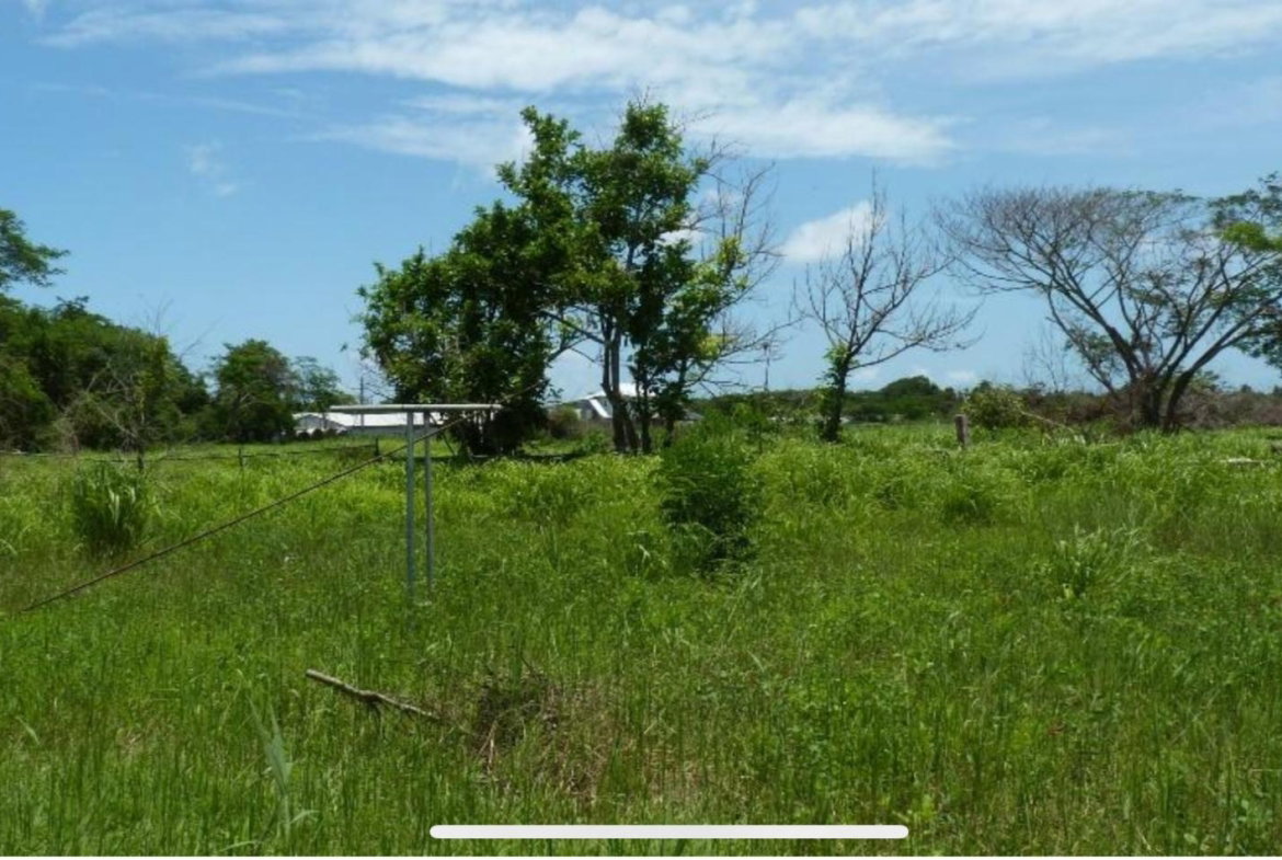 Eighth image of 45 Spring Garden Road in Old Harbour, St. Catherine, Jamaica - property is For Sale