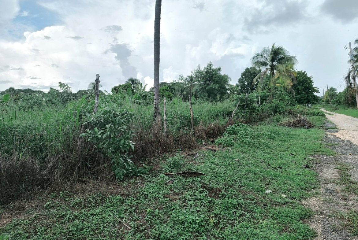 Third image of 95- Nightingale Grove in Bushy Park, St. Catherine, Jamaica - property is For Sale