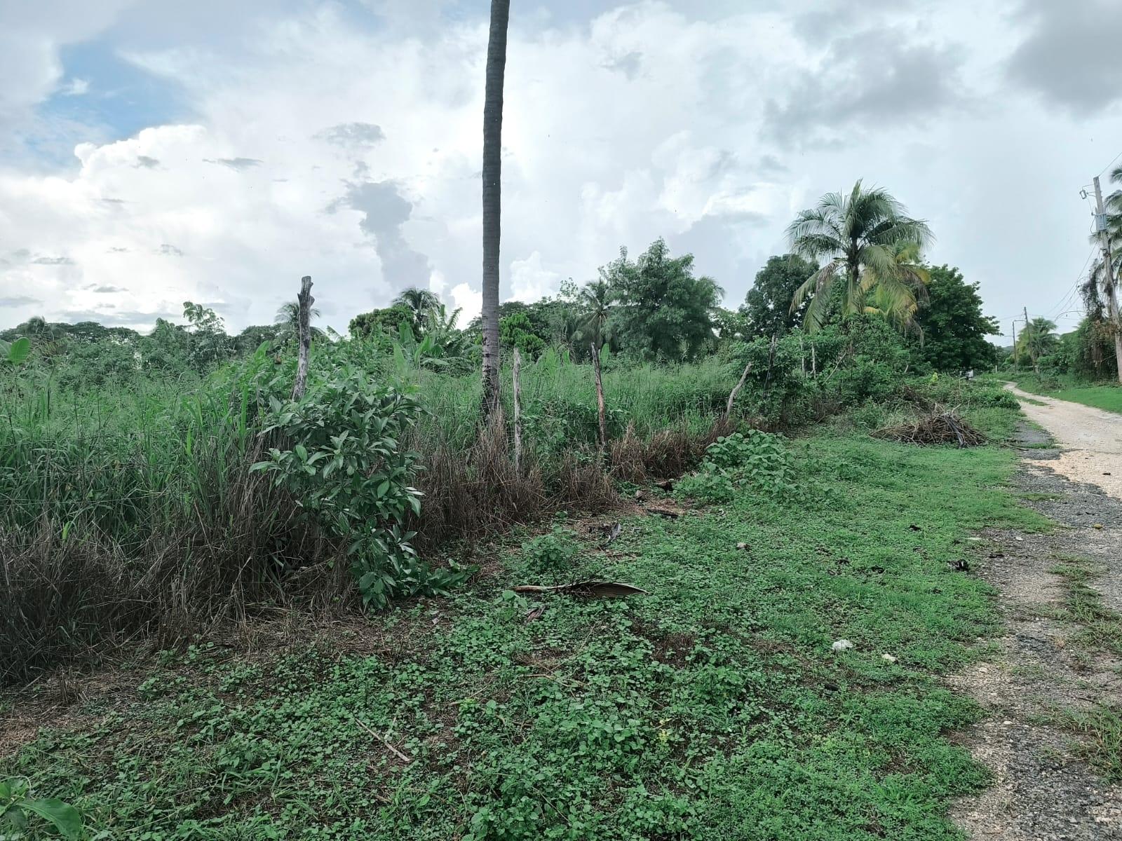 Third image of 95- Nightingale Grove in Bushy Park, St. Catherine, Jamaica - property is For Sale