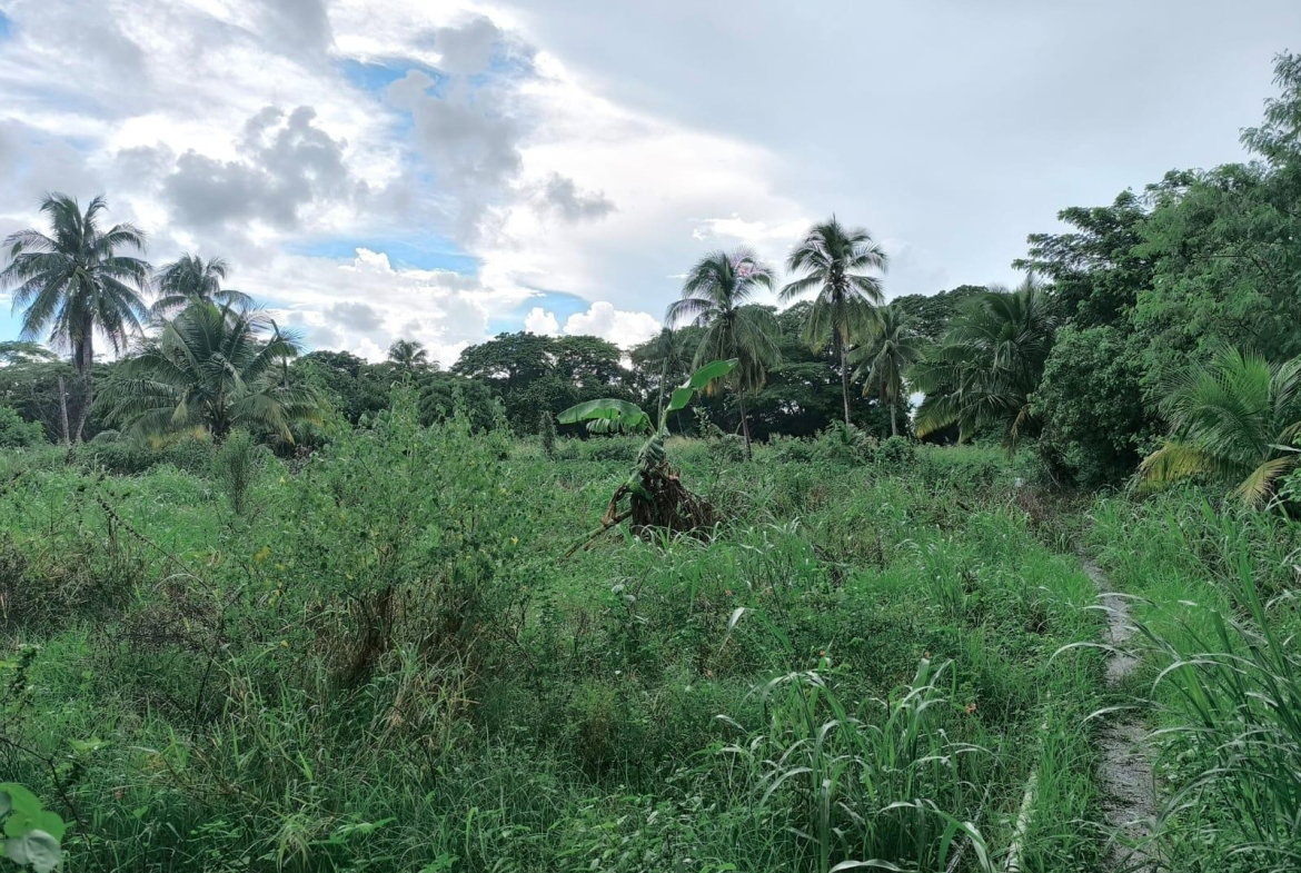 Fifth image of 95- Nightingale Grove in Bushy Park, St. Catherine, Jamaica - property is For Sale