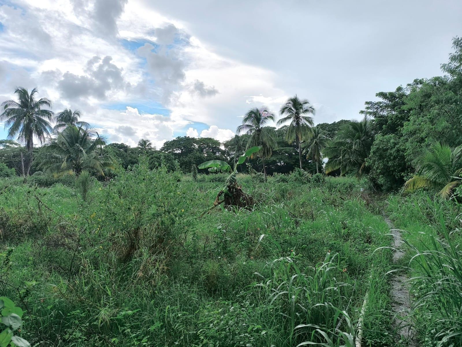 Fifth image of 95- Nightingale Grove in Bushy Park, St. Catherine, Jamaica - property is For Sale