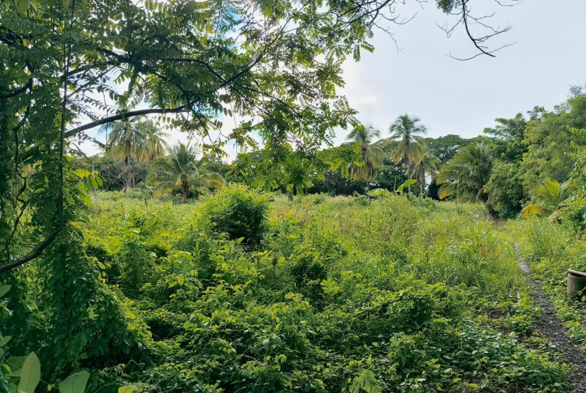 Sixth image of 95- Nightingale Grove in Bushy Park, St. Catherine, Jamaica - property is For Sale