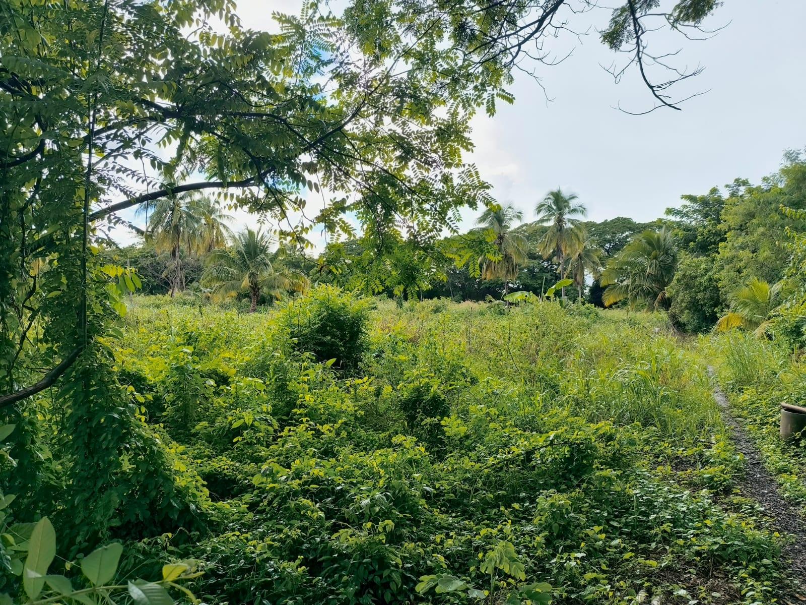 Sixth image of 95- Nightingale Grove in Bushy Park, St. Catherine, Jamaica - property is For Sale