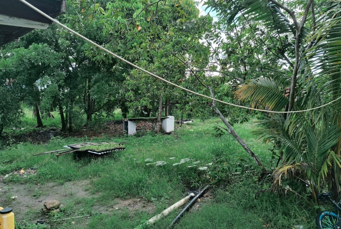 Seventh image of 95- Nightingale Grove in Bushy Park, St. Catherine, Jamaica - property is For Sale